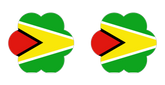 Guyana Flower: Flower Nipple Pasties