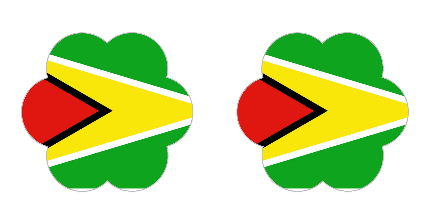 Guyana Flower: Flower Nipple Pasties